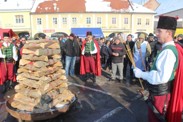 Vincelovo Zeleno plavo 21.01.2017 10